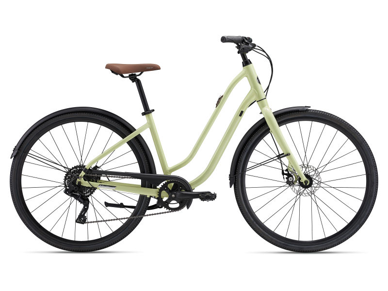 Flourish Disc 3 2023 Women bike Liv Cycling US