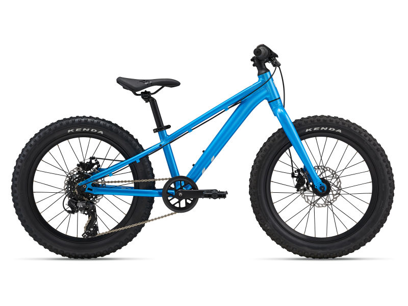 【希少】GIANT Liv マウンテンバイク 20インチ サスペンション付き 2020 Liv Cycling | ENCHANT 20