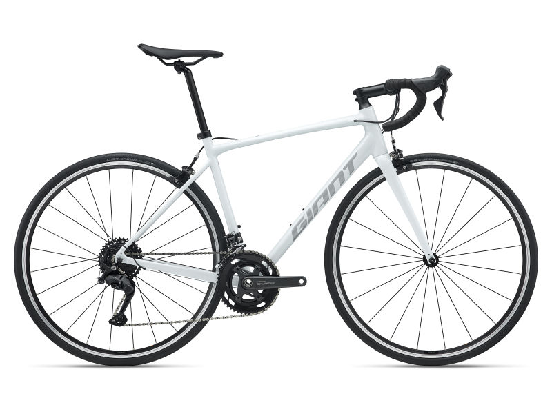 Contend 1 (2026) | All-Rounder 自行車| Giant Bicycles Taiwan 臺灣