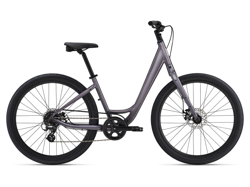 Vida Low Step 2024 bike Momentum Bikes US