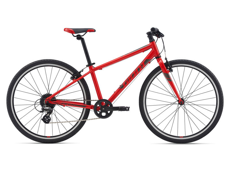 ARX 26 2020 bike Giant Bicycles Moldova