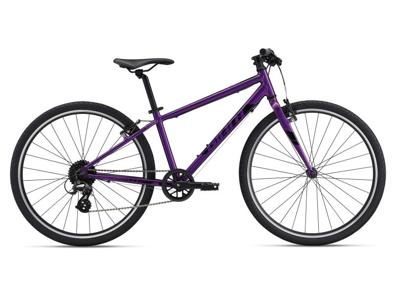 ARX 26 V2 2022 Fitness Bike Giant Bicycles DE