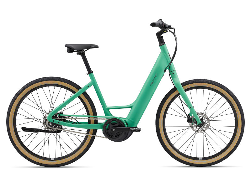 Giant ebike manual clearance