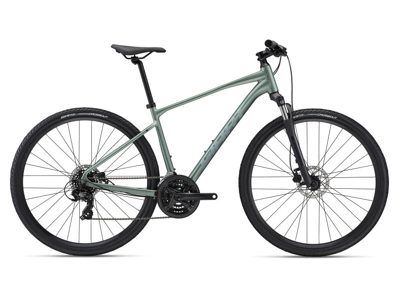Giant roam hot sale mountain bike