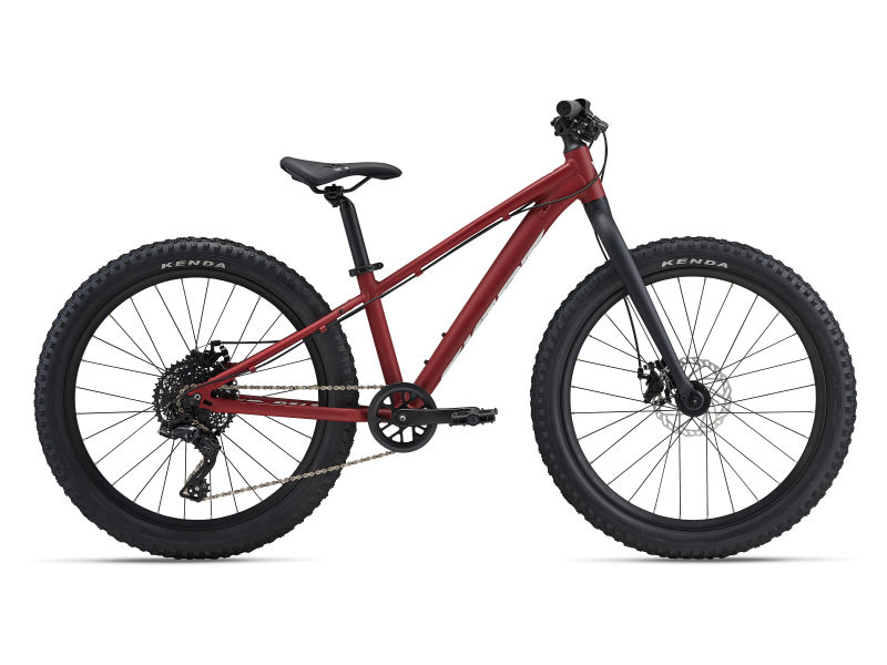 Giant 24 inch bike hot sale