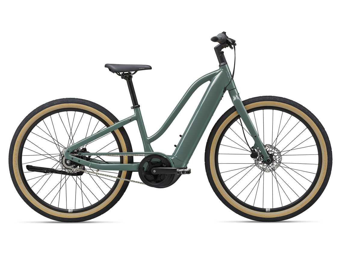 Fat bike giant momentum deals