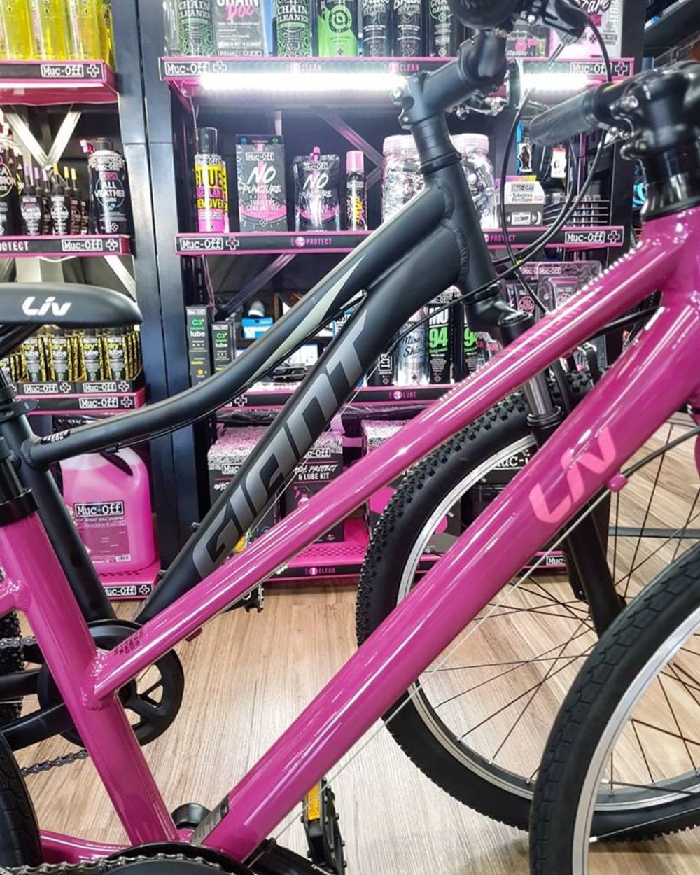 About us Giant Bicycles Giant Toowoomba