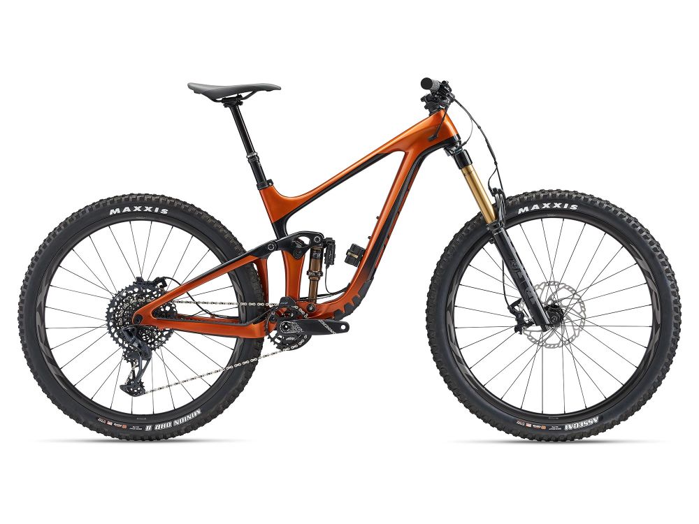 Giant reign online 29er