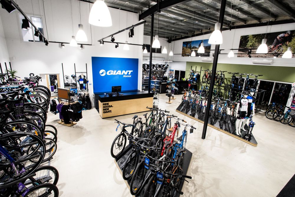 Giant 2024 bike shop