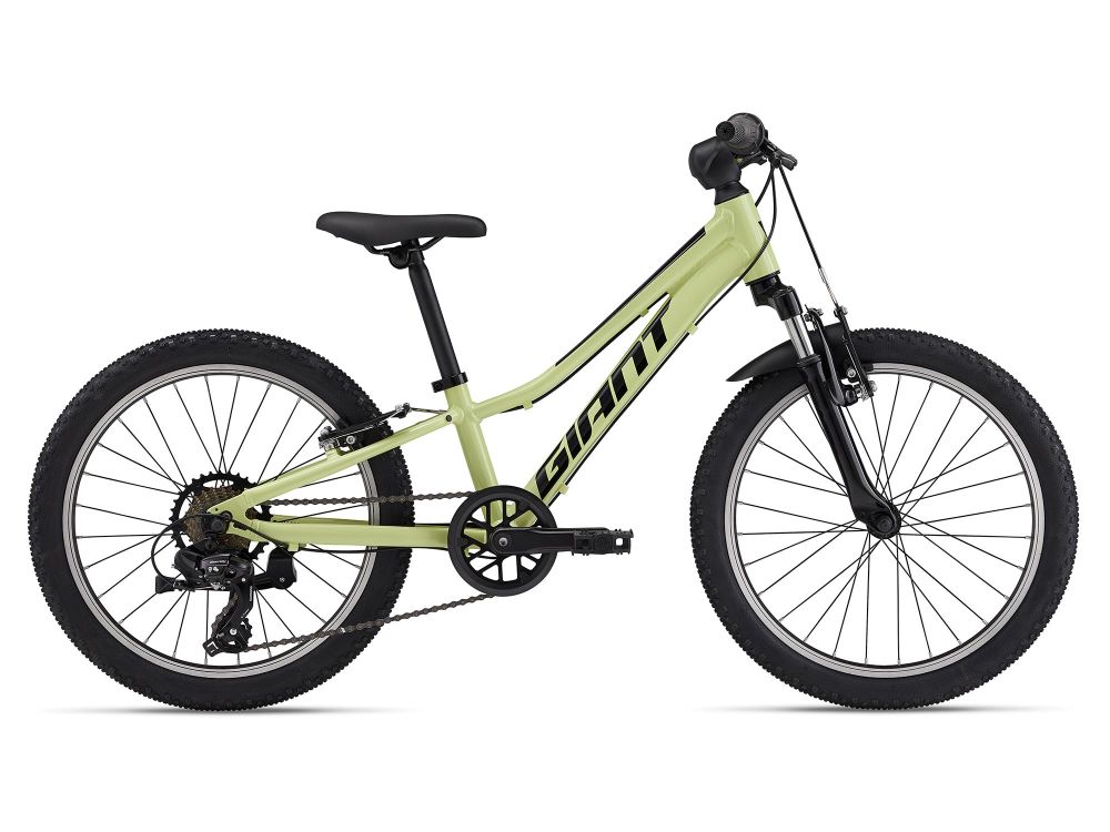 Kids giant shops bike