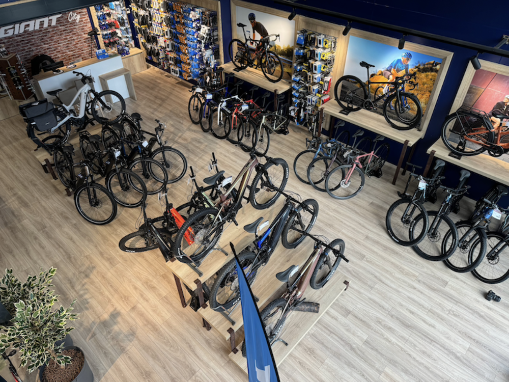 Giant cheap bike shop