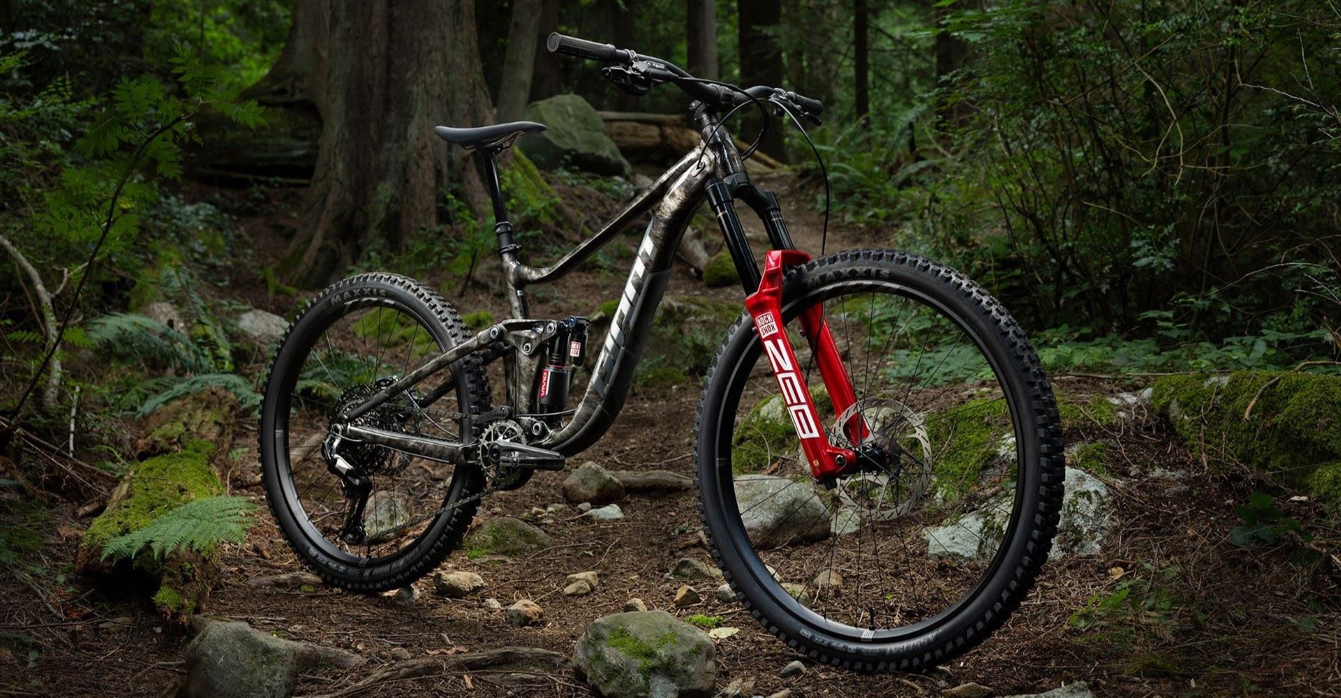 Giant Reign SE | A Custom Finish for Every Bike | Giant Bicycles