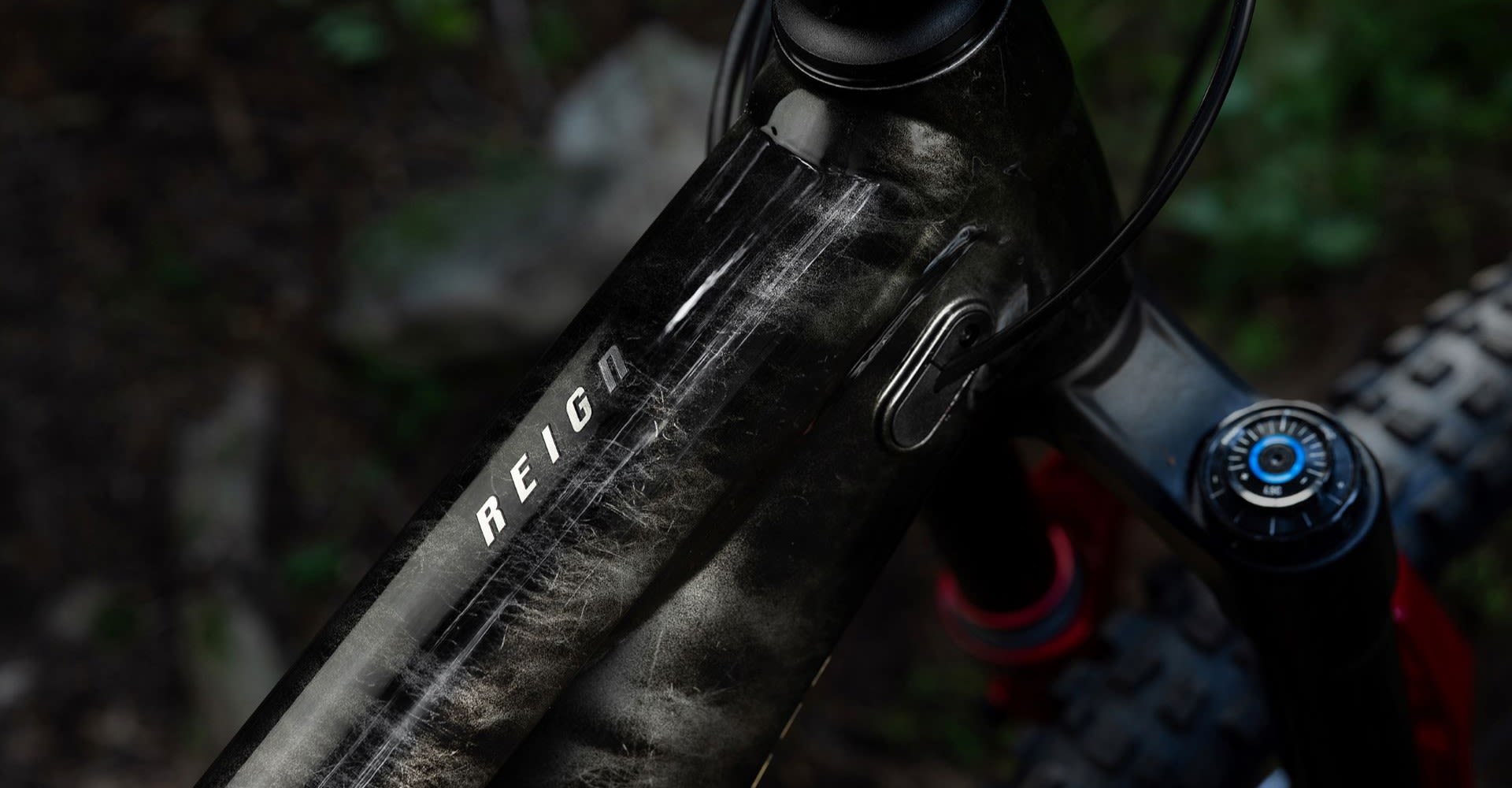 Giant Reign SE | A Custom Finish for Every Bike | Giant Bicycles