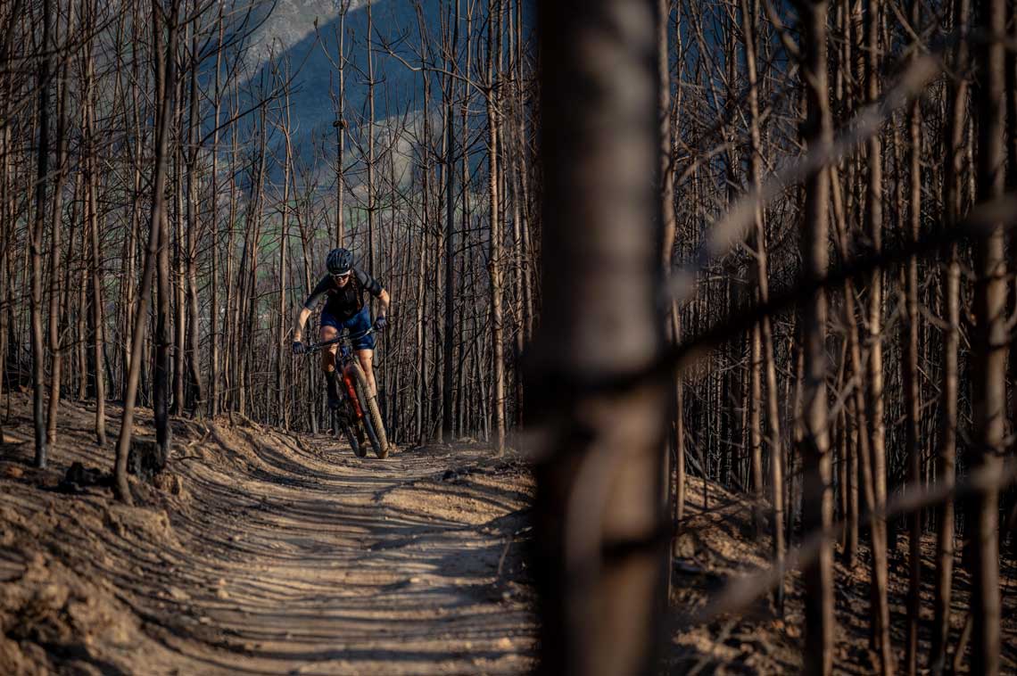 Sarah Hill riding through burned trees