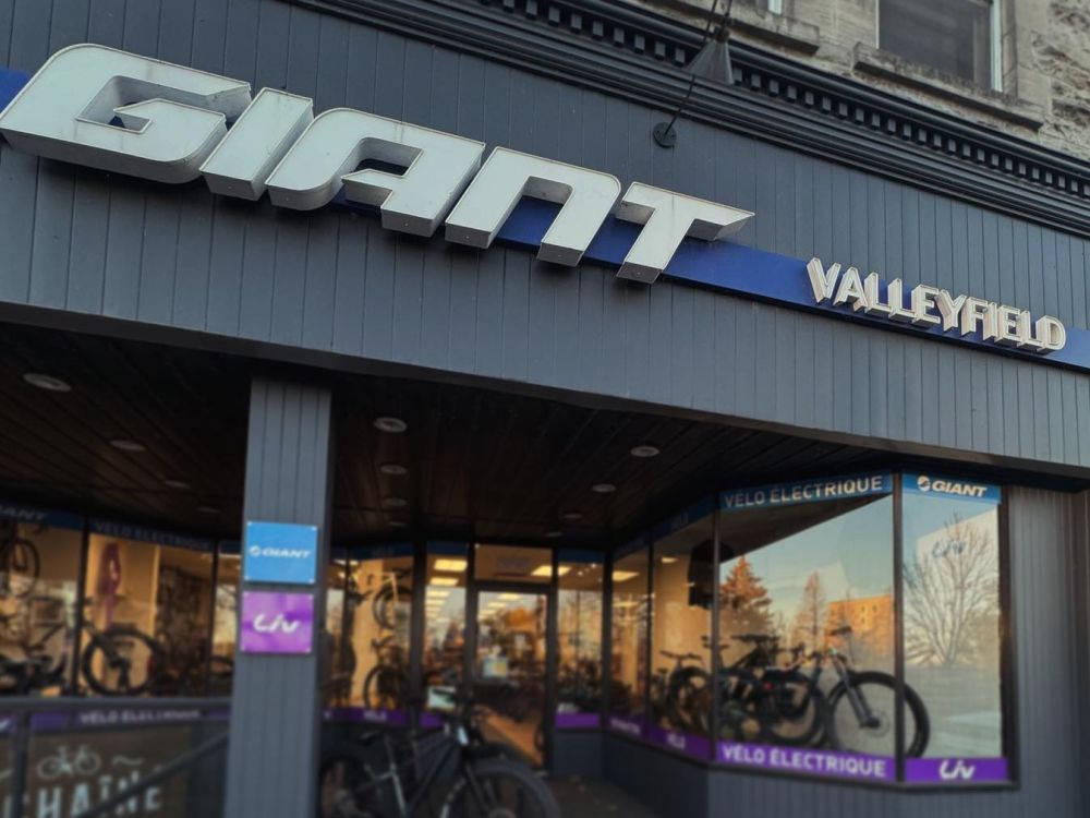 GIANT VALLEYFIELD