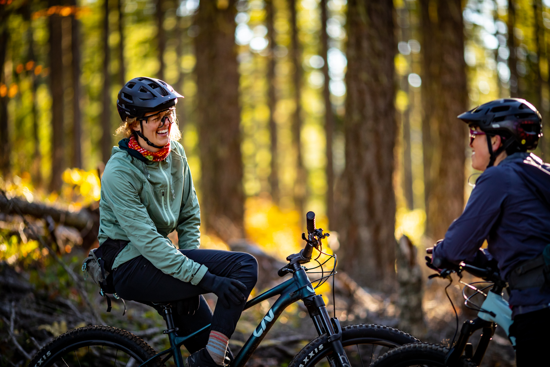 mountain bike forever