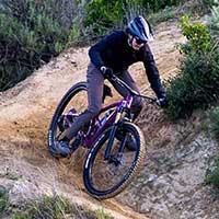 Trail