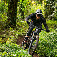 Trail