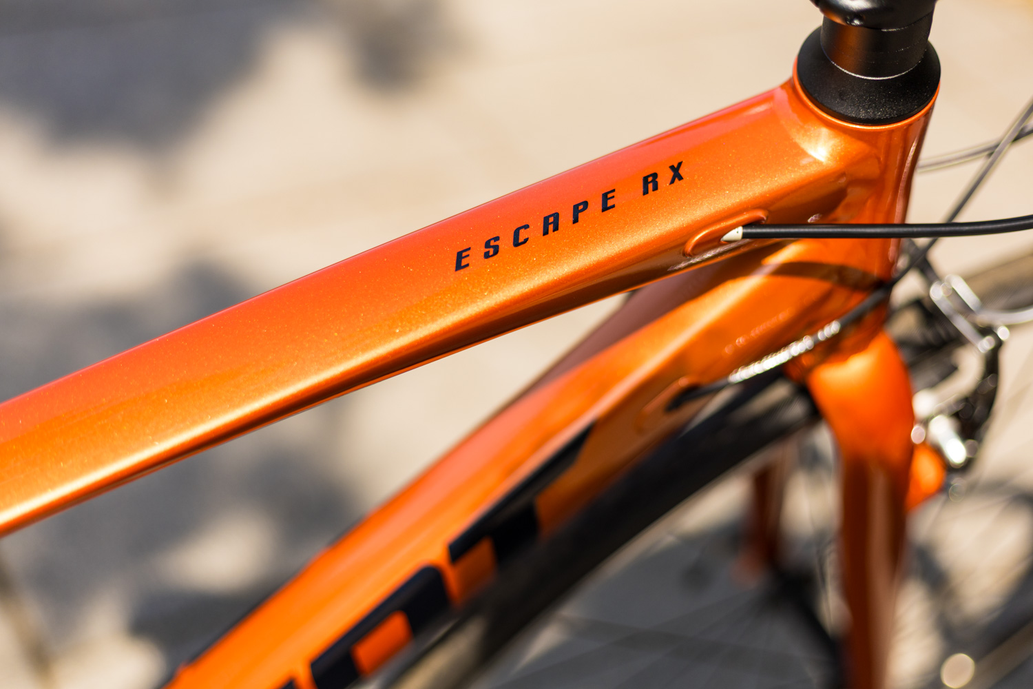 2026「ESCAPE RXシリーズ」を先行発売 | Giant Bicycles Japan 日本