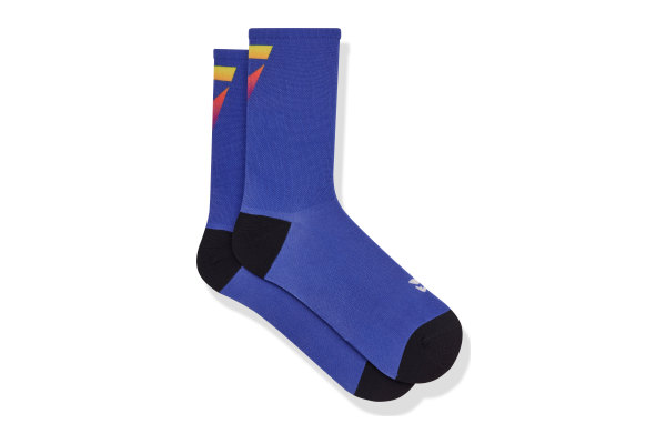 Giant Factory Off Road Team Legends Edition Socks